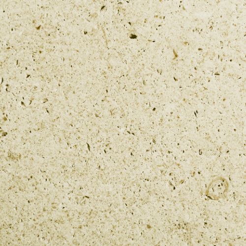 Oceanic6 Solutionz Mint Fossil